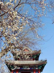 西堤5