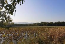 西堤23