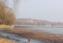 西堤11
