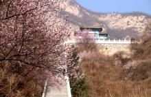 千灵山公园10