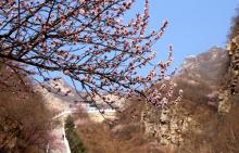千灵山公园4