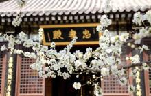 千灵山公园9