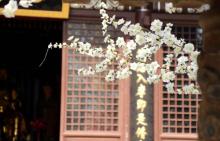 千灵山公园11