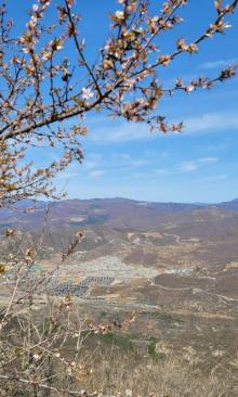 千灵山公园25