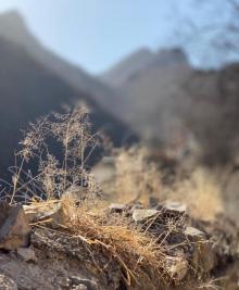 爨柏景区3