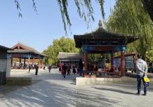 莲花池公园26
