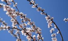 莲花池公园18