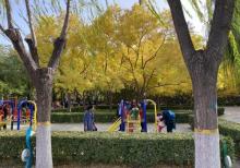莲花池公园27