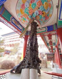 国安第一城30
