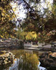 怡红院8