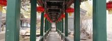 怡红院2