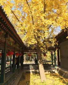 怡红院6