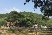 京东大溶洞25