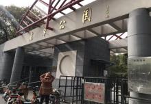 东单公园6