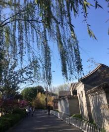 帽儿胡同9