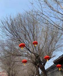 东四胡同博物馆18