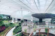 北京国际鲜花港20