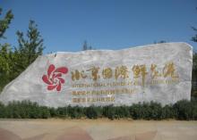 北京国际鲜花港13
