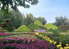 北京国际鲜花港24
