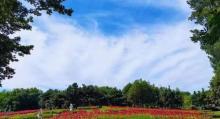 北京国际鲜花港8