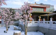 九华山庄温泉文化主题公园21