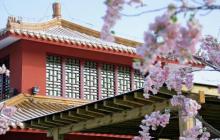 九华山庄温泉文化主题公园20