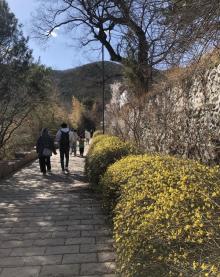 卧佛寺12