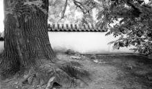 卧佛寺1