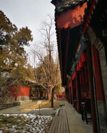 卧佛寺14