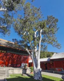 法海寺17