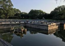 圆明园遗址公园-坦坦荡荡27