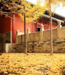 大觉寺8