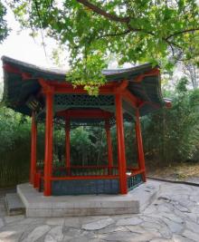 紫竹院公园30