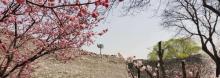 明城墙遗址公园24