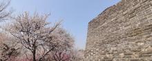 明城墙遗址公园22