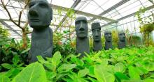 南宫五洲植物乐园2