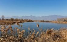 野鸭湖国家湿地公园2