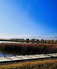 野鸭湖国家湿地公园22