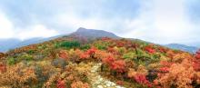 坡峰岭18