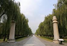 明十三陵神路景区16