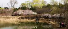 奥林匹克森林公园30