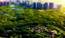 奥林匹克森林公园5
