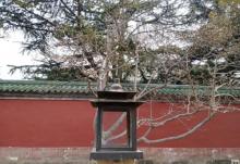 回音壁13