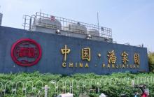 潘家园3
