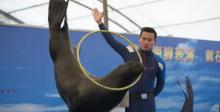 富国海底世界6