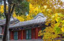 潭柘寺19
