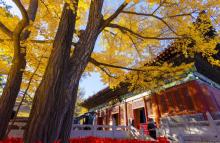 红螺寺13