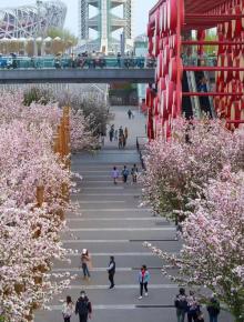 奥林匹克公园25