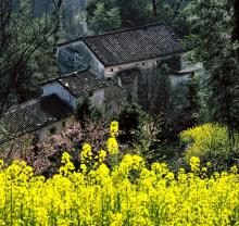 王母山20