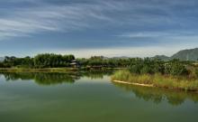 龙泉湖湿地10
